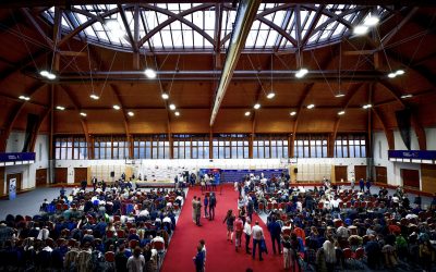 Ünnepeljük együtt a legjobbakat: Jön a Magyar Triatlon Szövetség Díjátadó Gálája!