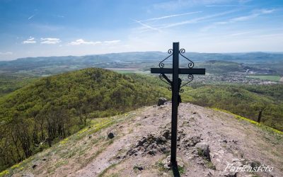 Jótékonysági futás – Mentsük meg az erdot