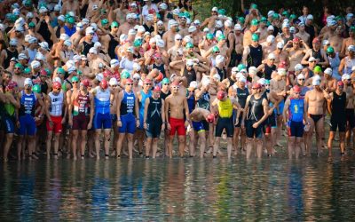 Verseny szervezési pályázat