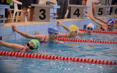 Felkészülési verseny eredmények