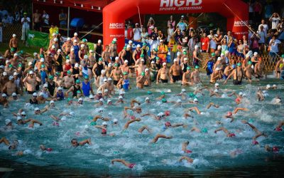 Új versenyengedély kéro adatlap!