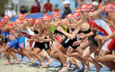 Versenyrendezoi fórum