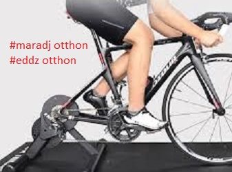 Versenyzői igazolások