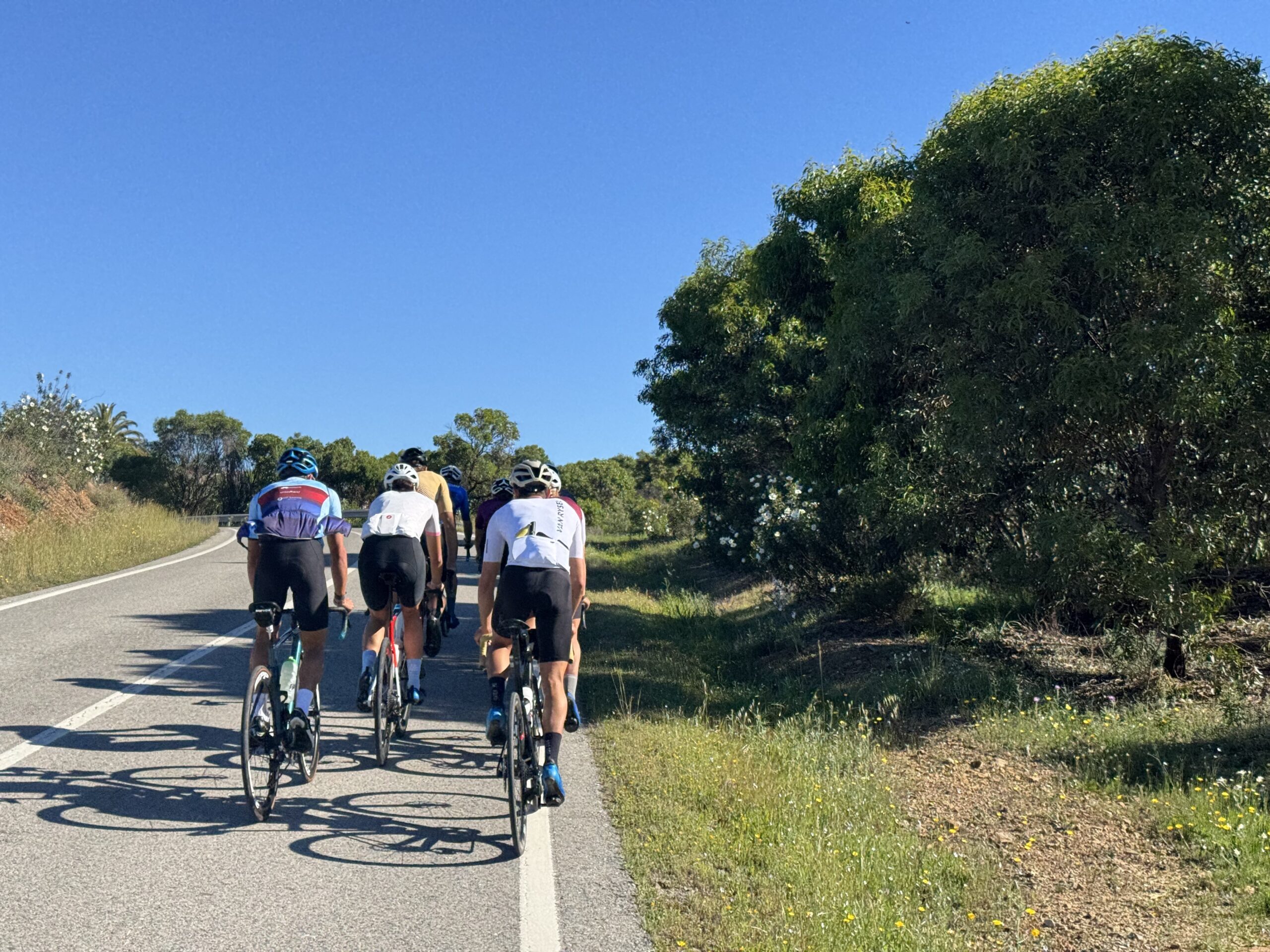 Ek-futamok között: jól sikerült edzőtábor Portugáliában IMG 8806 scaled