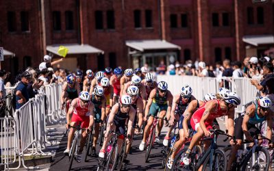 WTCS 2024 – Yokohama