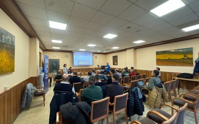 Stabil alapok és fontos szakmai párbeszéd: lezajlott az éves versenyszervezői fórum